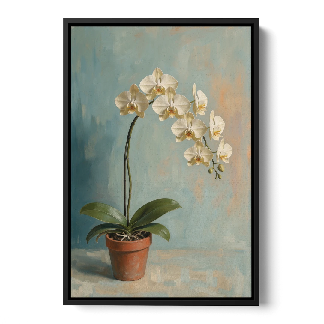Arching White Moth Orchid Flower - Black Framed Canvas Wall Art - Front