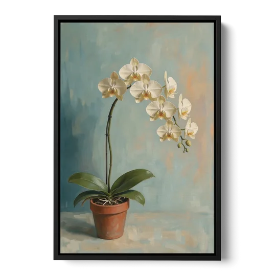 Arching White Moth Orchid Flower - Black Framed Canvas Wall Art - Front