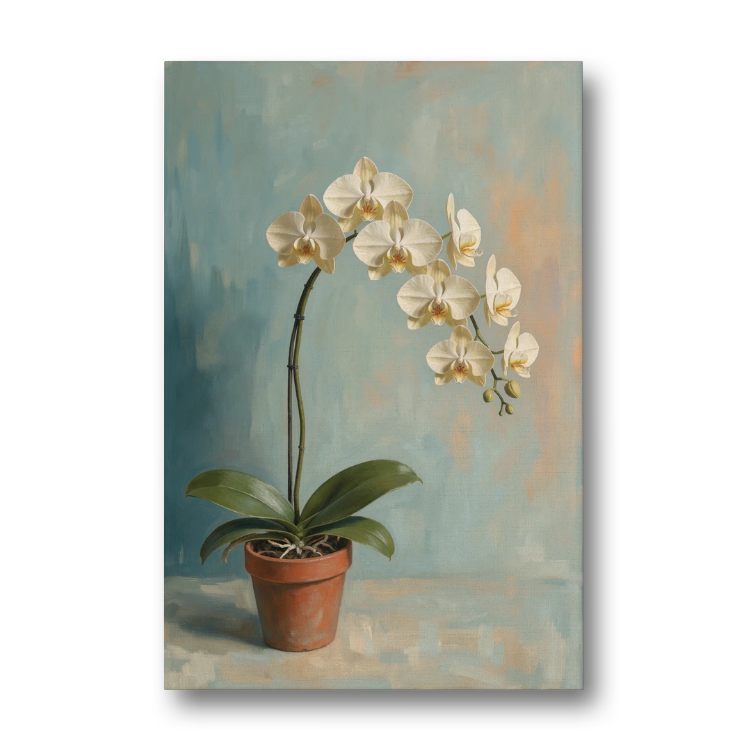 Arching White Moth Orchid Flower - Canvas Wall Art - Front