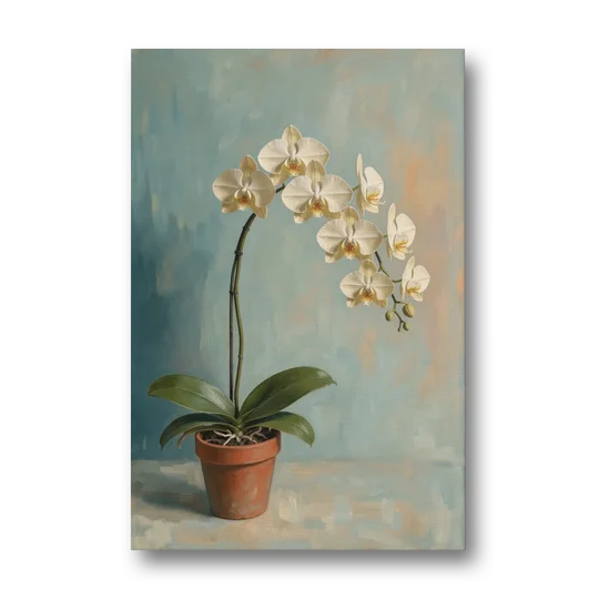 Arching White Moth Orchid Flower - Canvas Wall Art - Front