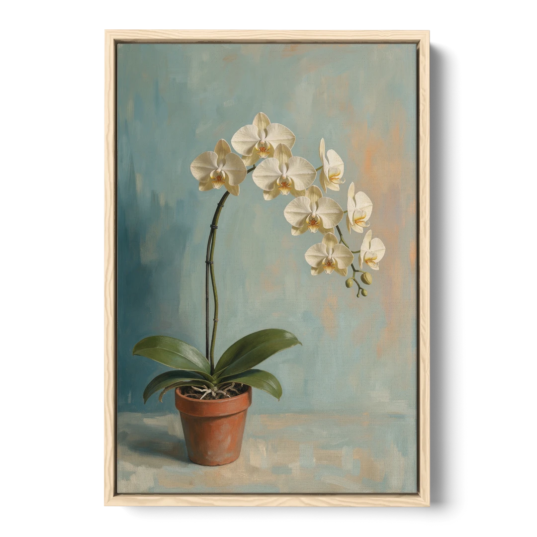 Arching White Moth Orchid Flower - Oak Framed Canvas Wall Art - Front