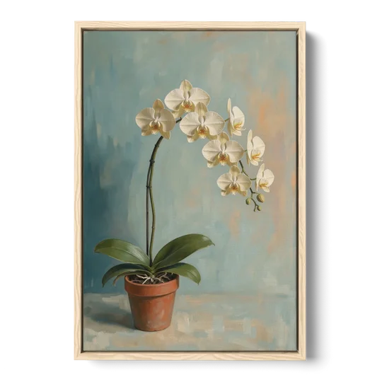 Arching White Moth Orchid Flower - Oak Framed Canvas Wall Art - Front