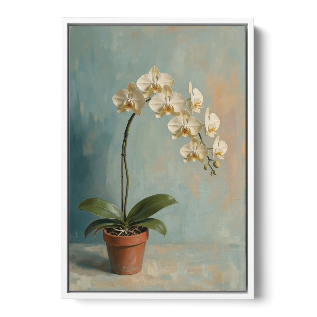 Arching White Moth Orchid Flower - White Framed Canvas Wall Art - Front