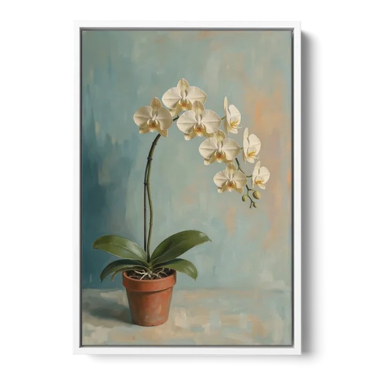 Arching White Moth Orchid Flower - White Framed Canvas Wall Art - Front