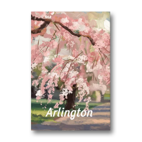 Arlington Cherry Blossoms - Canvas Wall Art - Front