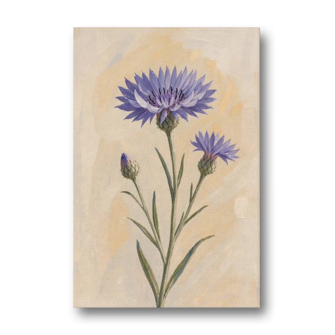 Botanical Wall Art Set of 3 with Wild Cornflower - Canvas Wall Art - Front