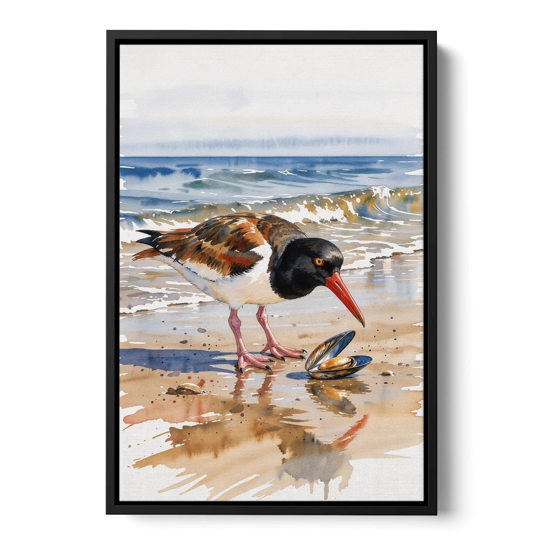 Coastal Bird Oystercatcher and the Open Mussel - Black Framed Canvas Wall Art - Front