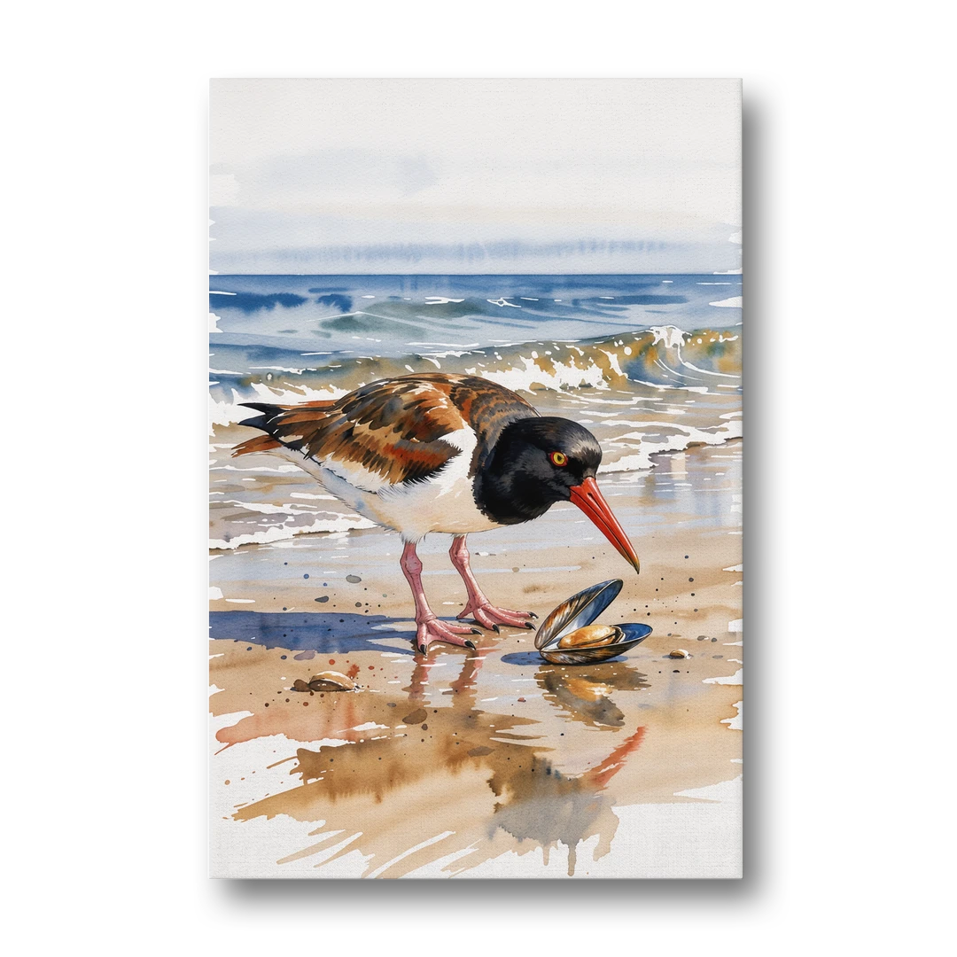 Coastal Bird Oystercatcher and the Open Mussel - Canvas Wall Art - Front
