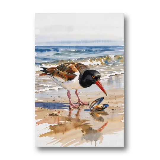 Coastal Bird Oystercatcher and the Open Mussel - Canvas Wall Art - Front