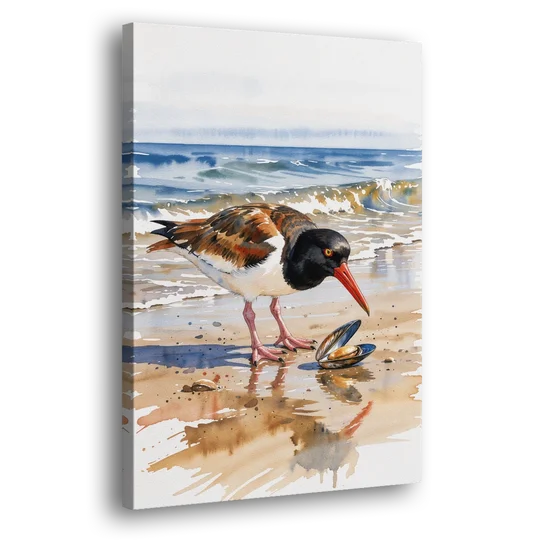 Coastal Bird Oystercatcher and the Open Mussel - Canvas Wall Art - Side