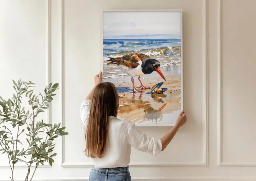 Coastal Bird Oystercatcher and the Open Mussel canvas wall art being hung on a paneled wall