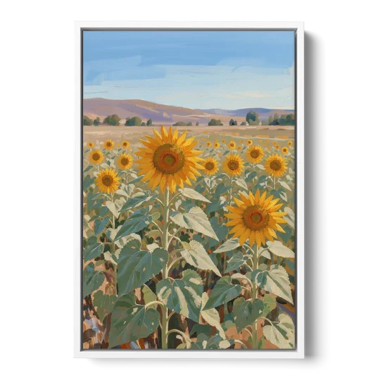 Country Wall Art of a Sunflower Field in Summer - White Framed Canvas Wall Art - Front