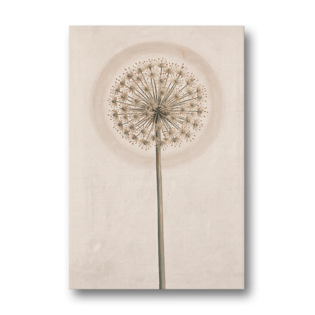 Dried Allium Seedhead on a Tall Stem - Canvas Wall Art - Front