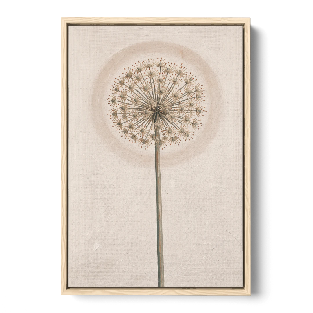 Dried Allium Seedhead on a Tall Stem - Oak Framed Canvas Wall Art - Front
