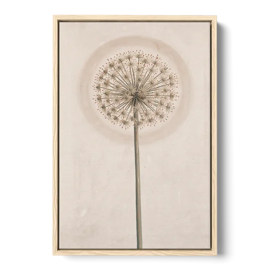 Dried Allium Seedhead on a Tall Stem - Oak Framed Canvas Wall Art - Front