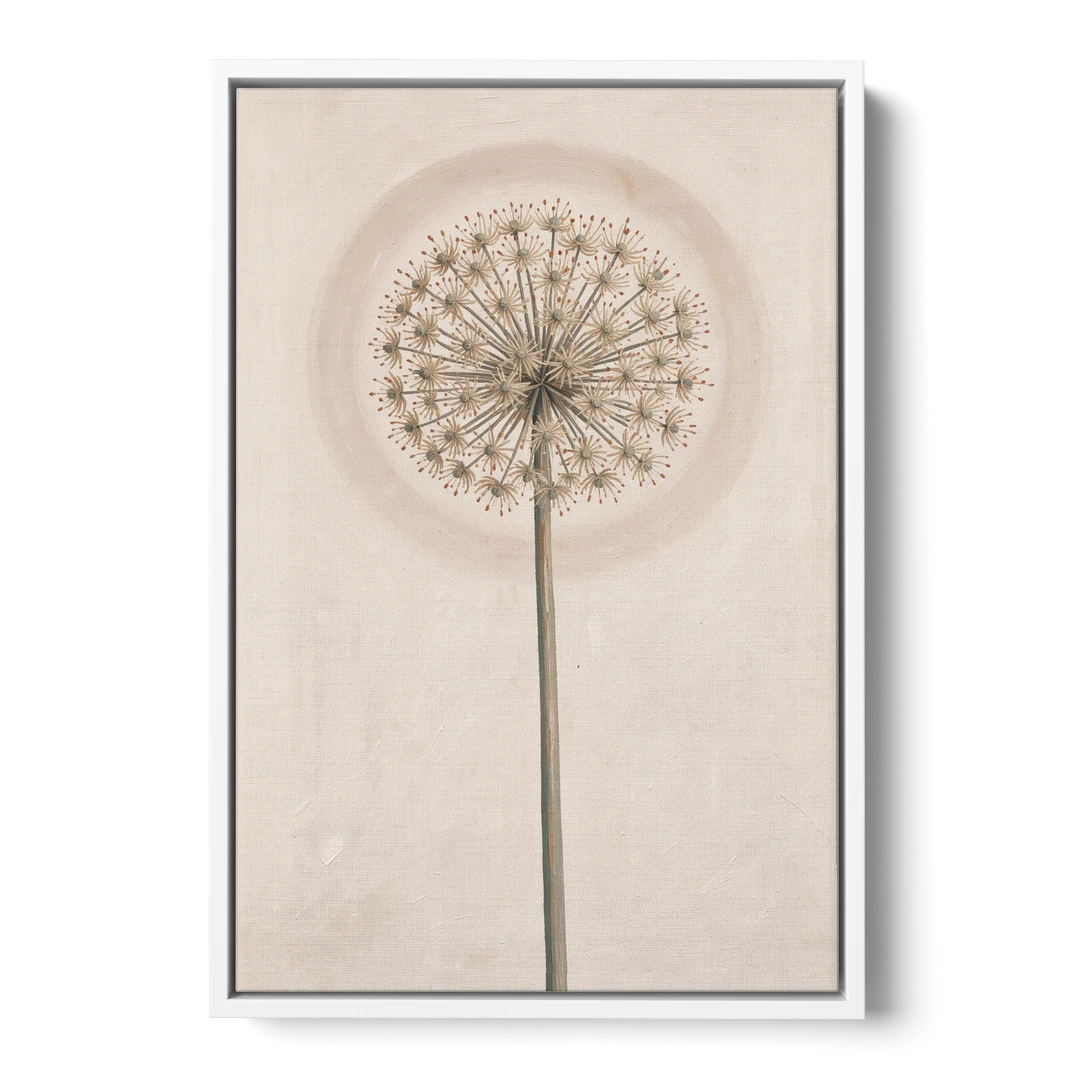 Dried Allium Seedhead on a Tall Stem - White Framed Canvas Wall Art - Front