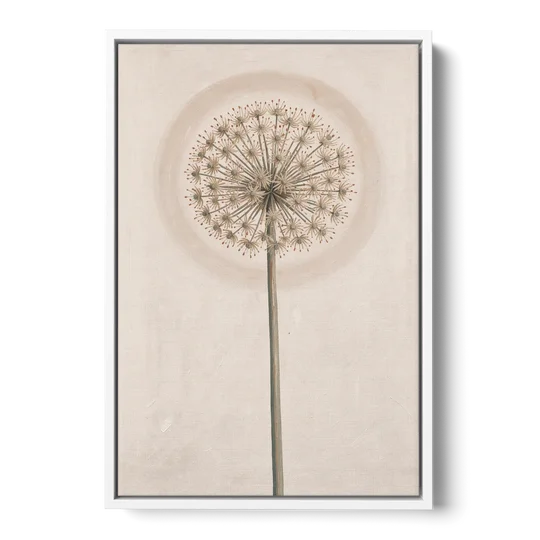 Dried Allium Seedhead on a Tall Stem - White Framed Canvas Wall Art - Front