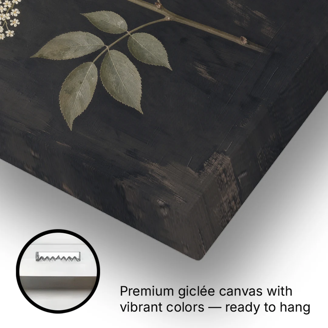 Elderflower Painting on a Dark Field - Canvas Wall Art - Gallery Wrap Corner