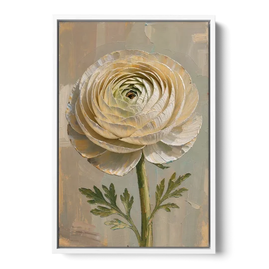 Flower Wall Art with a Cream Ranunculus - White Framed Canvas Wall Art - Front