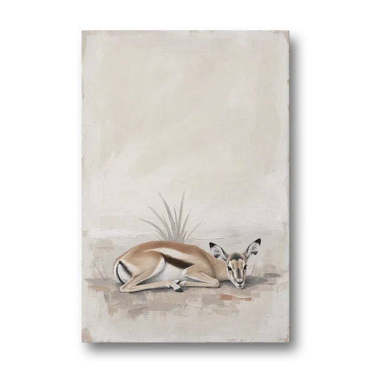 Gazelle Fawn Lying Low in Hiding - Canvas Wall Art - Front