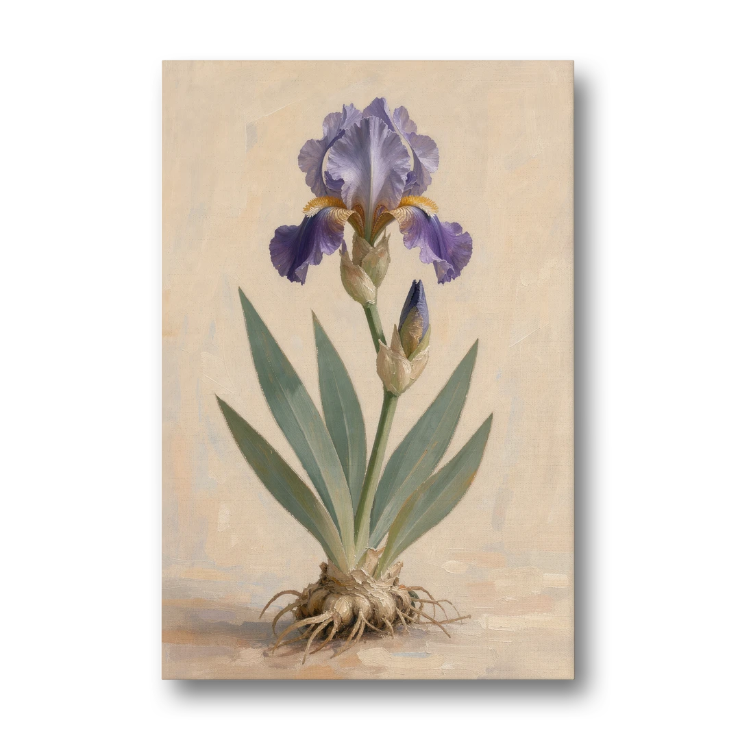 Large Botanical Wall Art of a Bearded Iris - Canvas Wall Art - Front