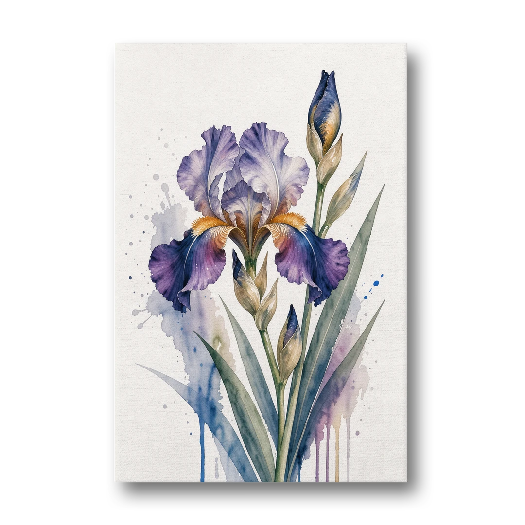 Modern Violet Bearded Iris Flower Splash - Canvas Wall Art - Front
