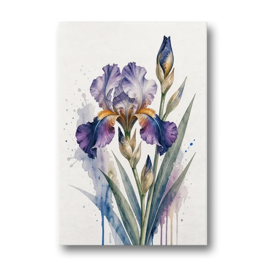 Modern Violet Bearded Iris Flower Splash - Canvas Wall Art - Front