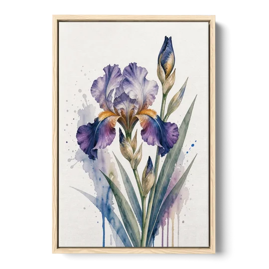 Modern Violet Bearded Iris Flower Splash - Oak Framed Canvas Wall Art - Front