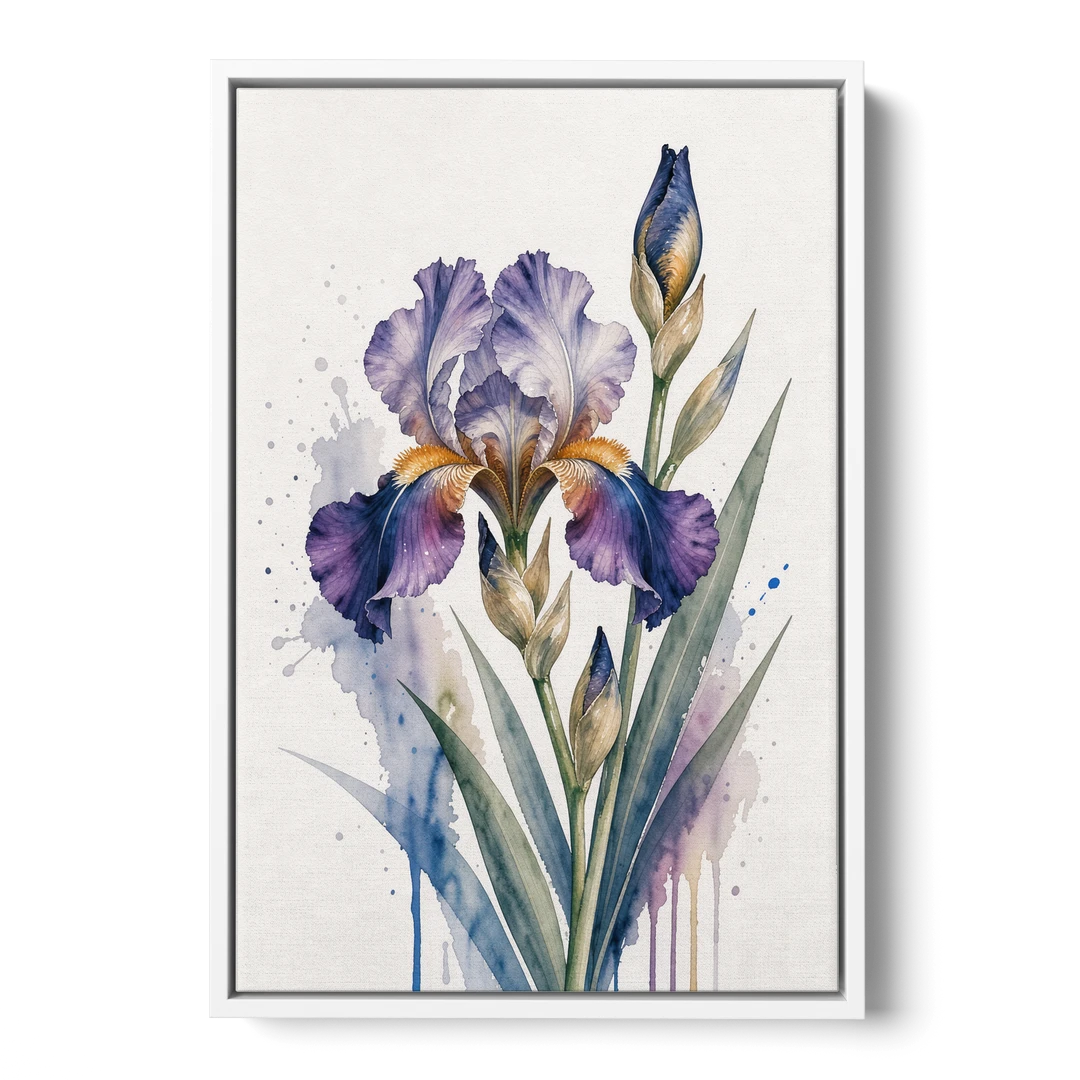Modern Violet Bearded Iris Flower Splash - White Framed Canvas Wall Art - Front