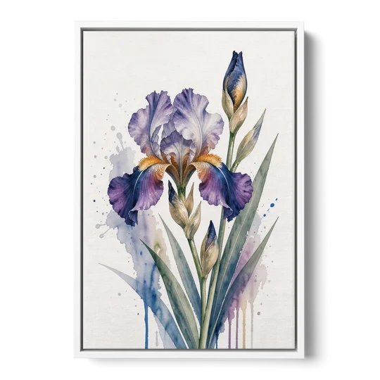 Modern Violet Bearded Iris Flower Splash - White Framed Canvas Wall Art - Front