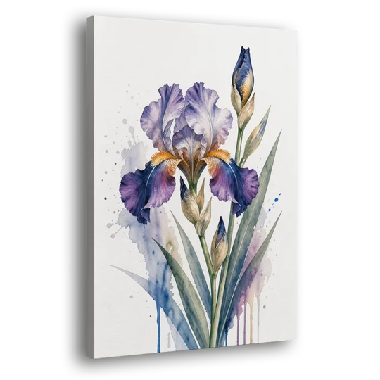 Modern Violet Bearded Iris Flower Splash - Canvas Wall Art - Side