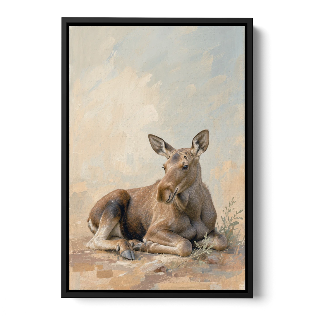 Moose Calf at Rest for the Modern Nursery - Black Framed Canvas Wall Art - Front