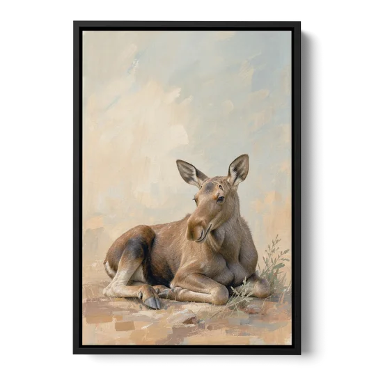 Moose Calf at Rest for the Modern Nursery - Black Framed Canvas Wall Art - Front