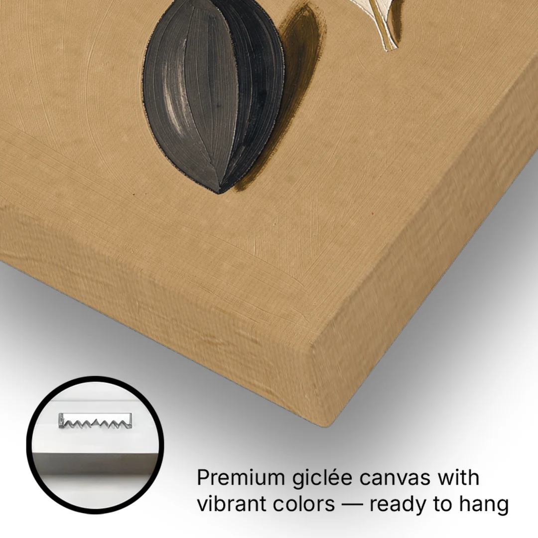 Organic Modern Home Decor with Seed, Leaf and Pebble - Canvas Wall Art - Gallery Wrap Corner