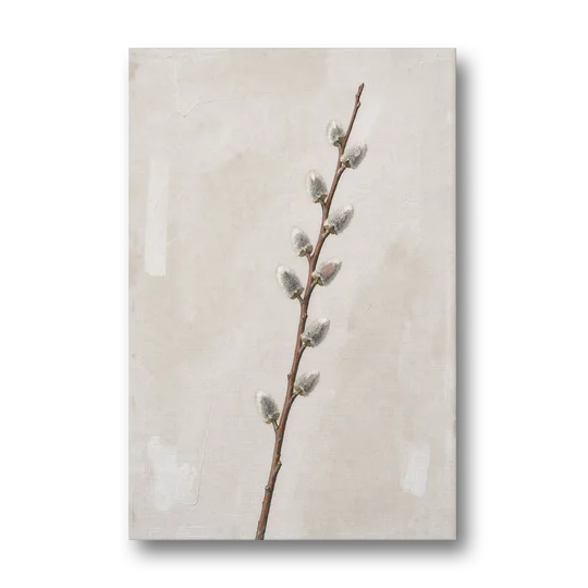 Pussy Willow Branch with Silver Catkins - Canvas Wall Art - Front