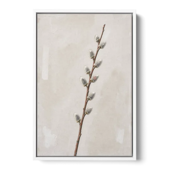 Pussy Willow Branch with Silver Catkins - White Framed Canvas Wall Art - Front
