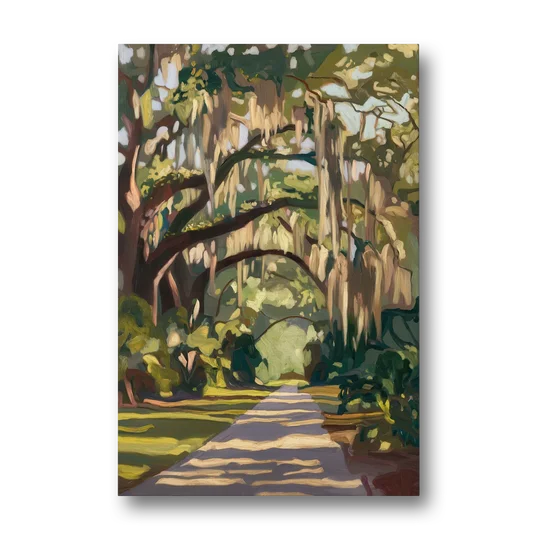 Savannah Oak Trees and Moss - Canvas Wall Art - Front
