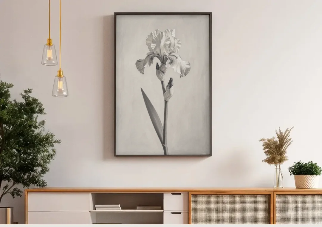 Single Flower Wall Art of a Bearded Iris canvas wall art above a wooden sideboard under pendant lights